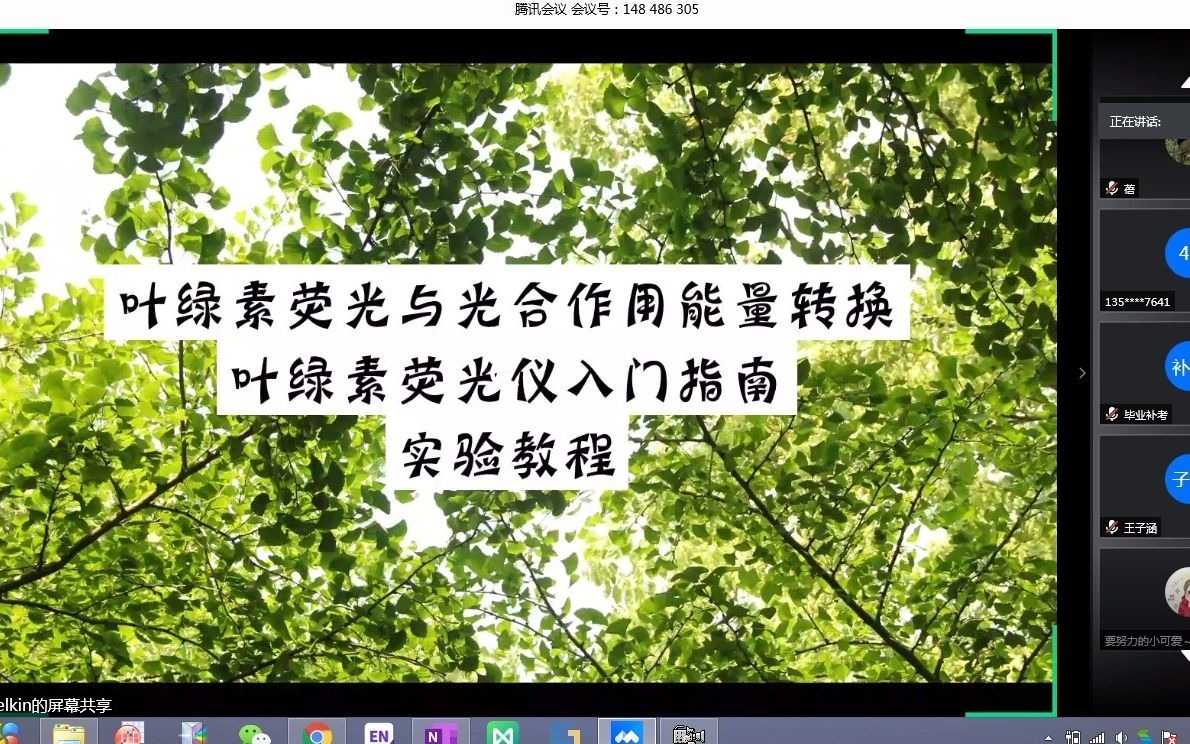 叶绿素荧光与光合作用能量转换pam叶绿素荧光仪入门操作及实验指南