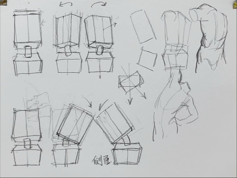 画躯干运动时，你是不是忽略了腰椎？体块关系速成指南！！