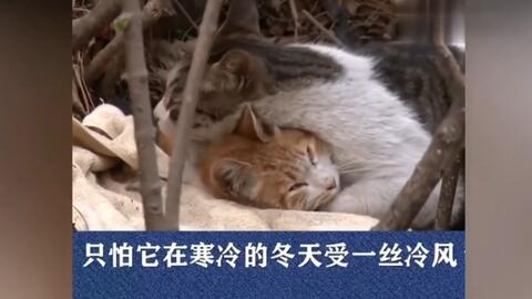 393d18595c6b70672d62713a2112f1053a1b248f.jpg@480w_270h_1c