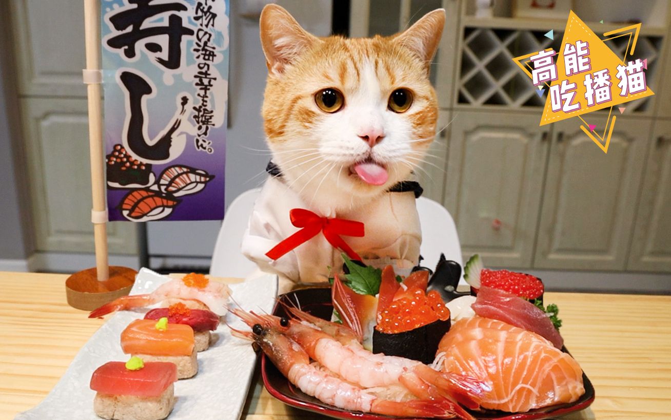 猫猫寿司