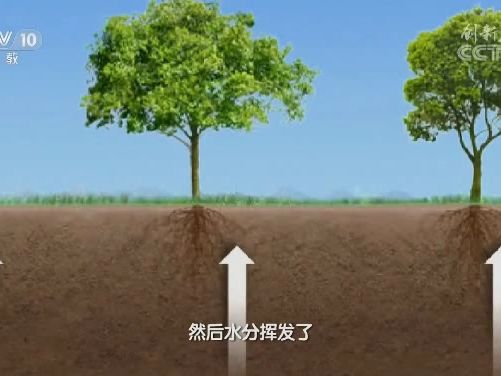 毛细管作用与盐碱化