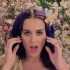 [4K]Katy Perry-Wide Awake 中英字幕