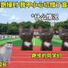 当跑操时 我不小心切错了音乐