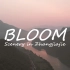 Bloom→张家界的日出朝霞云海日落晚霞星轨和花海