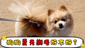 397fcbf61014fc9f05be818e8579f4827272cec0.jpg@280w_158h_1c_100q.jpg