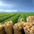 洽洽喀吱脆薯片2011年广告《有没有篇》30秒
