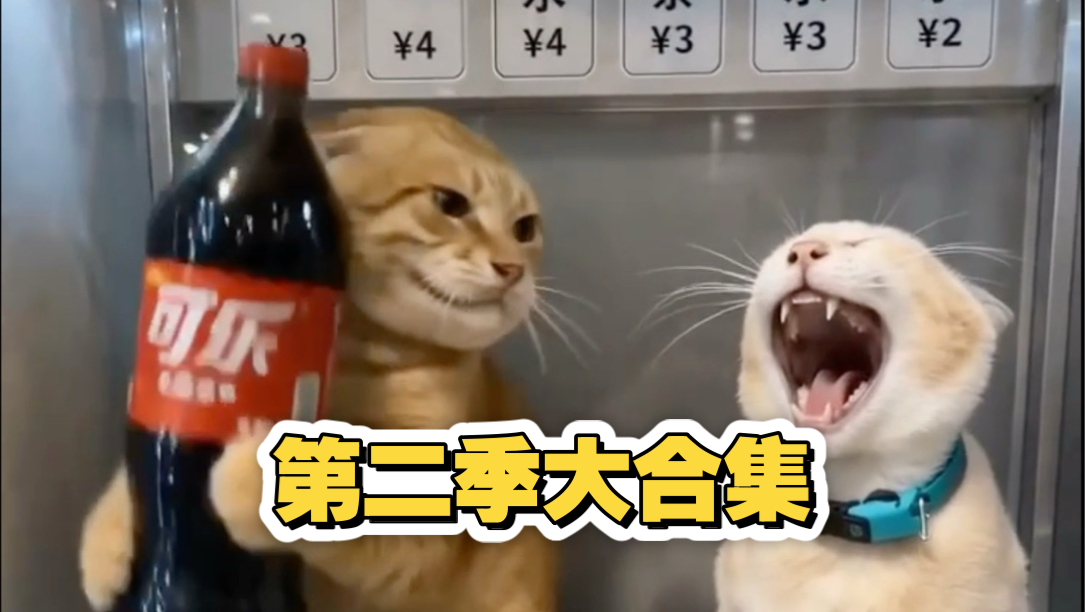 机米售货机第二季大合集！