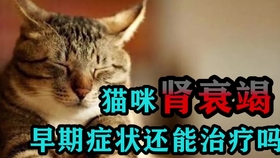 398534f744fd74f1e44f758d623c5ca59c083381.jpg@280w_158h_1c_100q.jpg