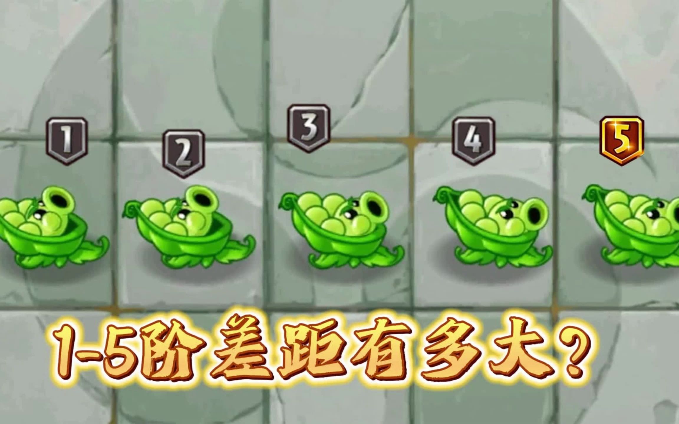 1-5-der-der