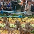猴子美食节：每年宴请600只猴子，一次吃光4吨美食！