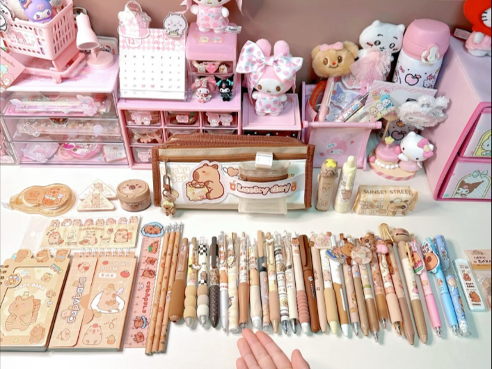 你们要的👉🏻沉浸式整理卡皮巴拉笔袋来啦👈🏻 👀看看有没有同款的？！