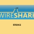 《Wireshark从入门到精通》抓包协议分析（已完结）
