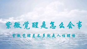 39c4a362f8c0171f5ccd557972cc46793f7b5445.jpg@280w_158h_1c_100q.jpg