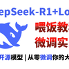 【秒懂教程】30分钟轻松教会你DeepSeek R1模型Lora微调训练，可视化训练全过程！适合借鉴学习，环境配置+模型微调+效果展示，草履虫都能学会