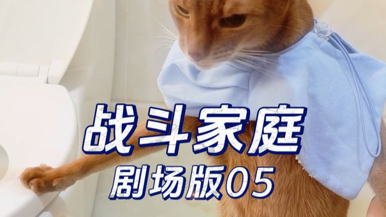 【剧场版05】我想把养猫的快乐分享给大家~~