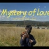 Mystery of love 小提琴 （有风版）