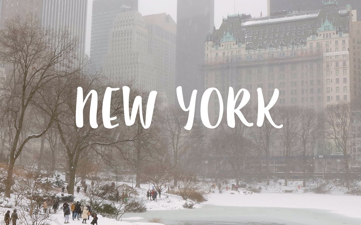【治愈生活】 haruday | 纽约生活日常 纽约的暴风雪 雪中的中央公园 美食 猫咪 | VLOG 2022.2.4