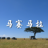动物世界 马赛马拉 沉浸式风景欣赏（下篇