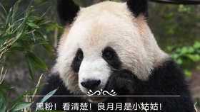 3a814eaa9e8f7dac8db1d0a2ed877d7a667273f8.jpg@280w_158h_1c_100q.jpg