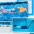 【模板】运动健身行业游泳馆招生宣传视频制作