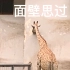 hangzhou zoo~~