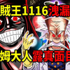 海贼王1116泄漏2！伊姆真面目公布？薇薇的祖先公布