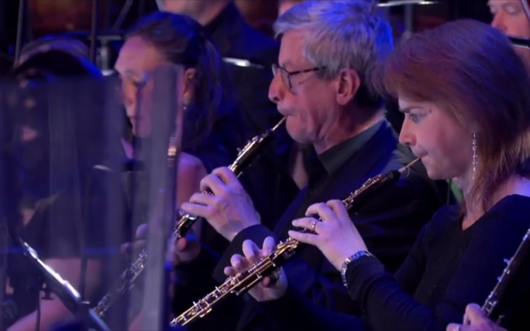 哈利波特 海德薇主題曲 Hedwig's Theme (John Williams)