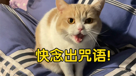 3accb4061b099f7861bfc1912431148247510b9e.jpg@280w_158h_1c_100q.jpg