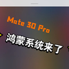 铁汁萌，Mate 30 pro鸿蒙系统来了，更新不？─=≡Σ((( つ•̀ 3 •́)つ宝