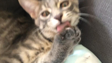 3aefbdaaa42406be093843108190f5e62ebec6b4.jpg@480w_270h_1c