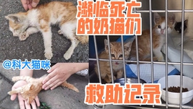 3aface65b8e412731fcedcb75a596df355f8ef83.jpg@280w_158h_1c_100q.jpg