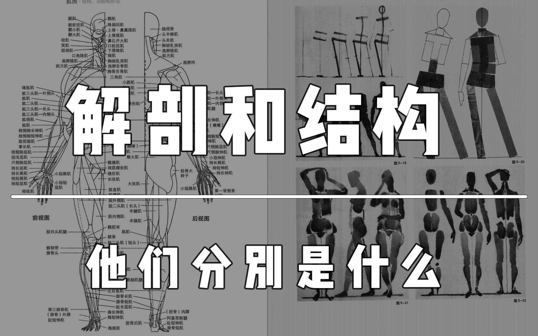 解剖和结构这两个重要概念你还在分不清楚?东哥带你学游戏建模东哥带你学游戏建模哔哩哔哩视频