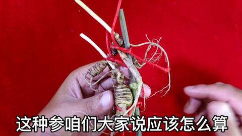 3b19dab8bba7cebb585c599201a4c99277781cb3.jpg@480w_270h_1c