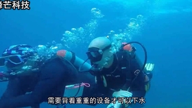 鱼多久可以不呼吸 3b25e6b65f2a9982c82b9ec285701e610e20bc81.jpg@280w_158h_1c_100q.jpg