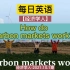 【经济学人2021.10.1】碳市场是如何运作的?-How do carbon markets work?