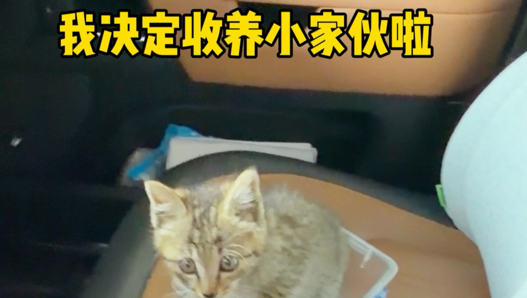 仅此记录我们的相遇 真的破防啦