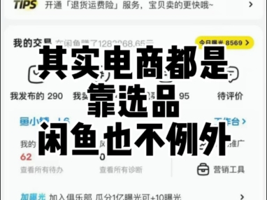 其实电商都是靠选品闲鱼也不例外