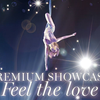 （HI-Res）Ayumi Hamasaki 滨崎步 - PREMIUM SHOWCASE -Feel the love