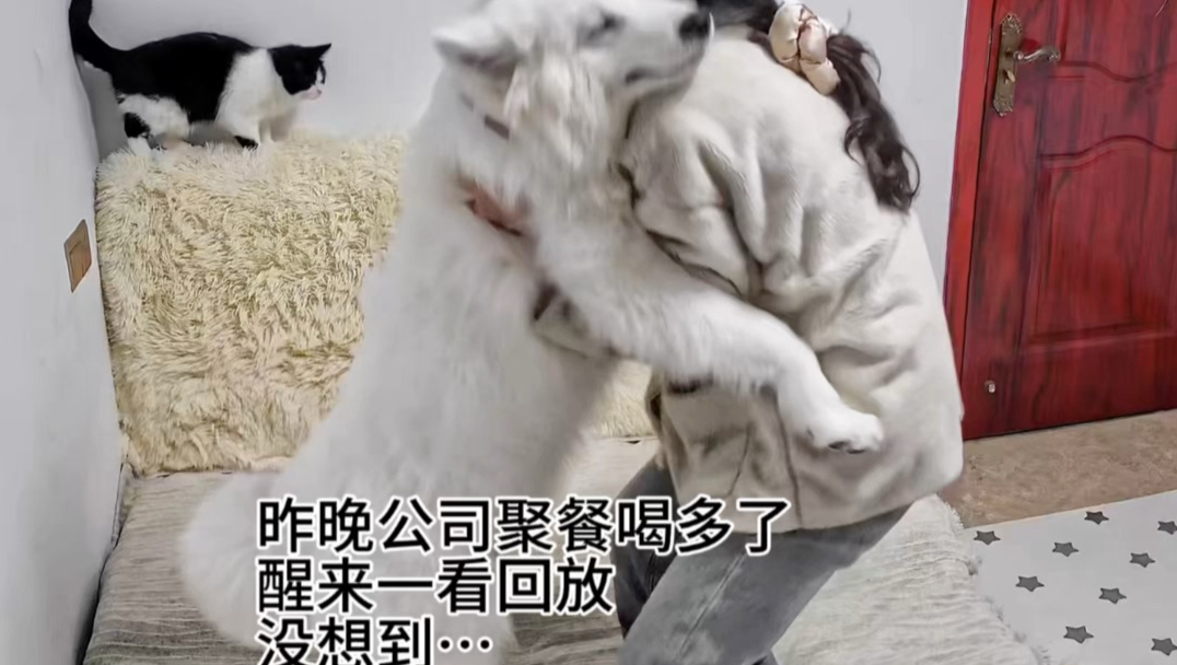 狗：咱以后还是非必要不喝酒哈…
