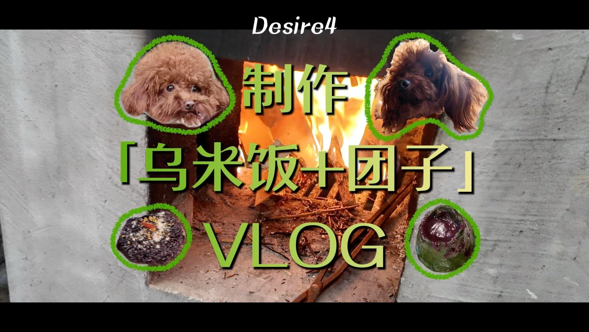 Desire4 Vlog｜新年特辑一起团圆美满 大家庭做团子小记录！