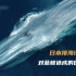 日本核污水排海！蓝鲸将受到前所未有的伤害！
