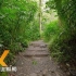 【搬运/4K资源】4K虚拟森林漫步-夏威夷瓦胡岛马诺阿瀑布小径