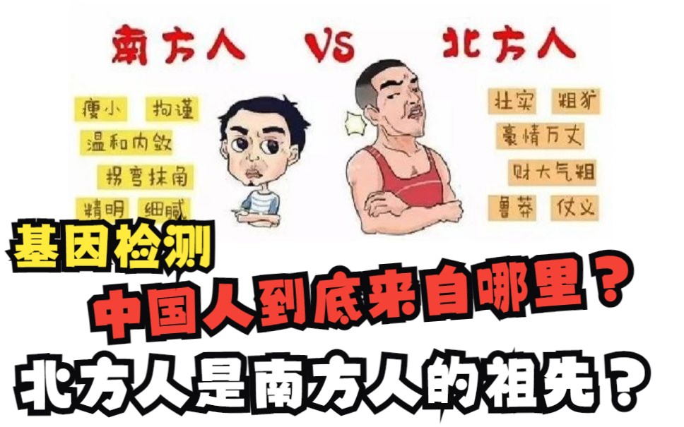 基因检测:中国人到底来自哪里?北方人是南方人的祖先吗?哔哩哔哩bilibili