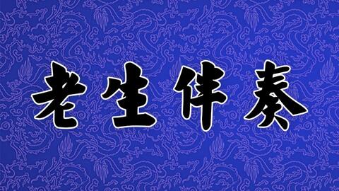 京剧月琴伴奏曲谱_京剧月琴