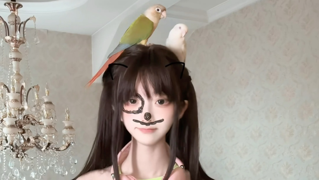 少爷带着坐骑回归