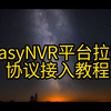 4、EasyNVR平台拉流协议协议接入教程