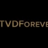 【吸血鬼日记】#TVD Forever 为了别离的纪念