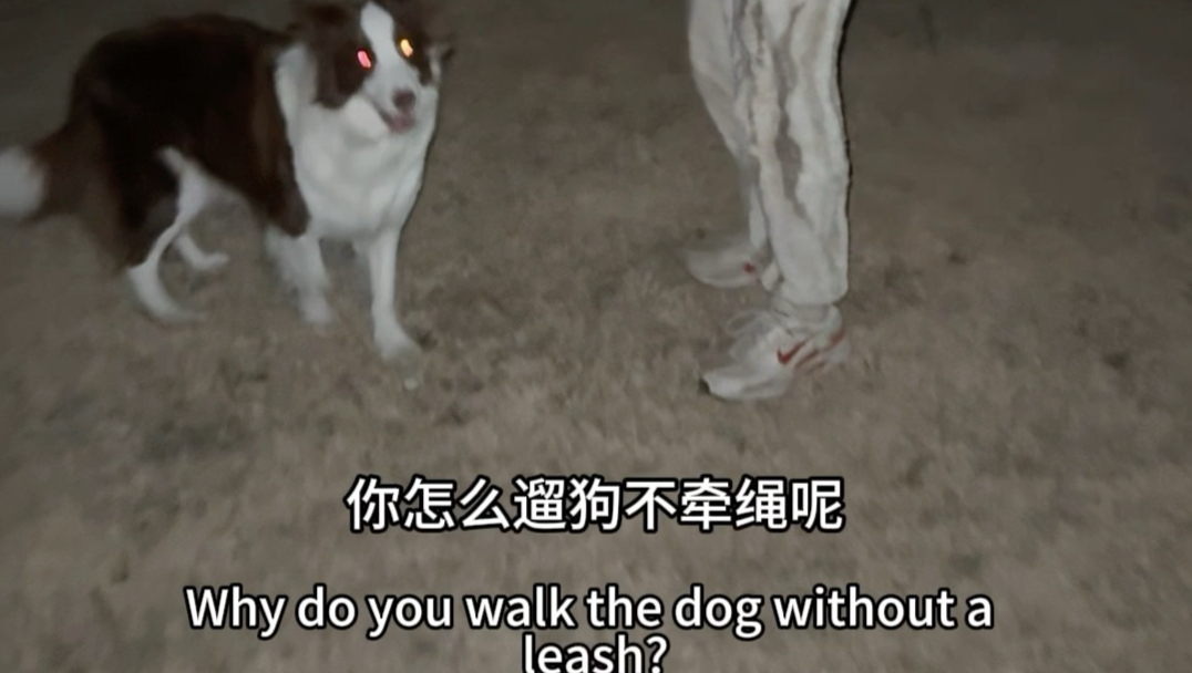 半夜在郊区还被逮到了