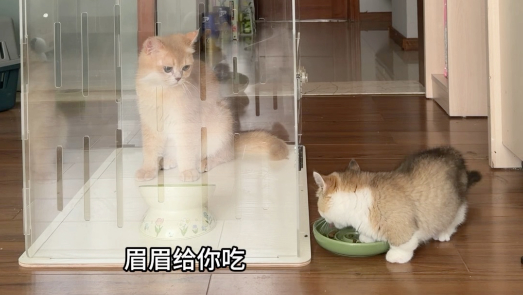 大家千呼万唤的吃饭视频来啦