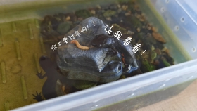 3c37f8cab65f1e19abf1d84dce2a3ecac1d38146.jpg@280w_158h_1c_100q.jpg